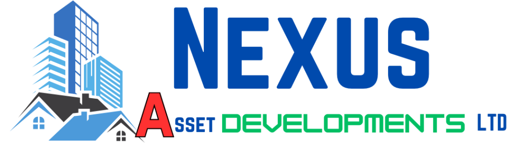 Nexus logo web